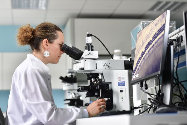 Observation et comptage de cellules ciblées en laboratoire de l'INRS