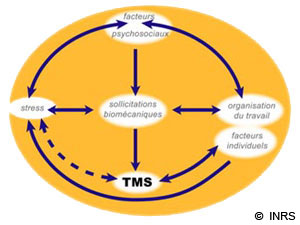Modèle de la dynamique d'apparition des troubles musculosquelettiques (TMS)