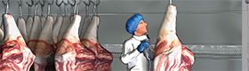 Pour améliorer le transport et la livraison des carcasses de viande