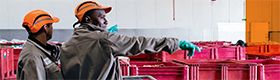 Hygiène et sécurité du travail, revue trimestrielle scientifique de l'INRS