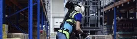 Exosquelettes
