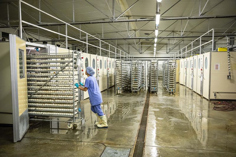 Heurts, glissades et autres perturbations du mouvement au travail