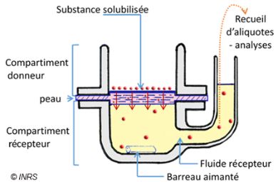 Schéma en coupe du dispositif utilisé pour évaluer le passage percutané