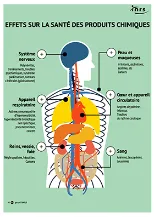 Effets sur la santé des produits chimiques