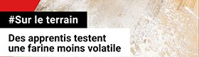 Sur le terrain - CFA Eschau : des apprentis testent une farine moins volatile