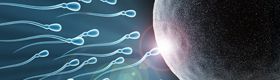 Vue microscopique de spermatozoides et d’un ovule © Shutterstock 
