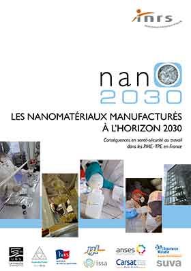 Les nanomatériaux manufacturés à l\'horizon 2030 en France