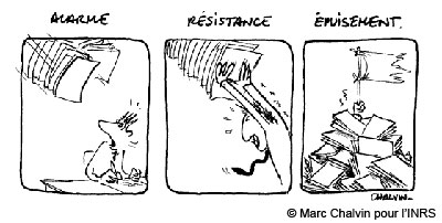 Réaction en 3 phases de l’organisme face à une situation stressante : alarme, résistance et épuisement