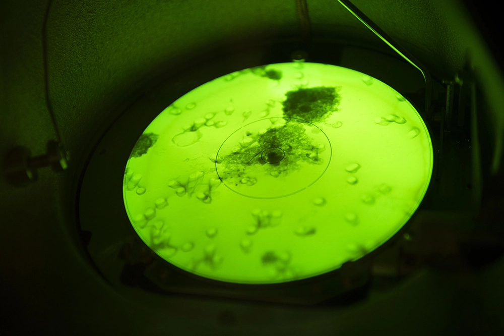 Nanotubes de carbone en phase liquide