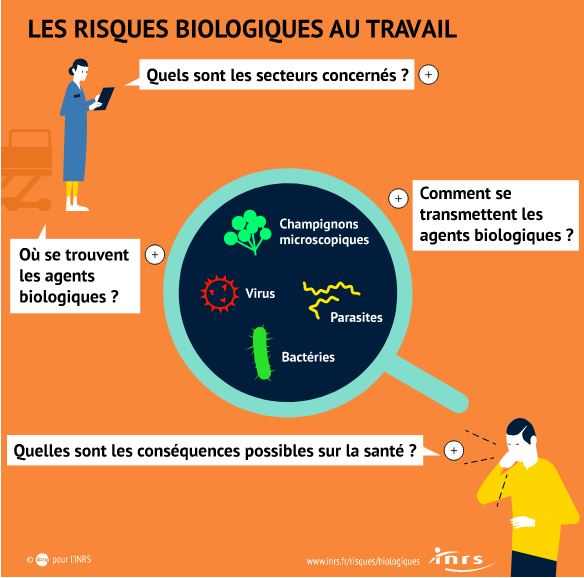 Infographie