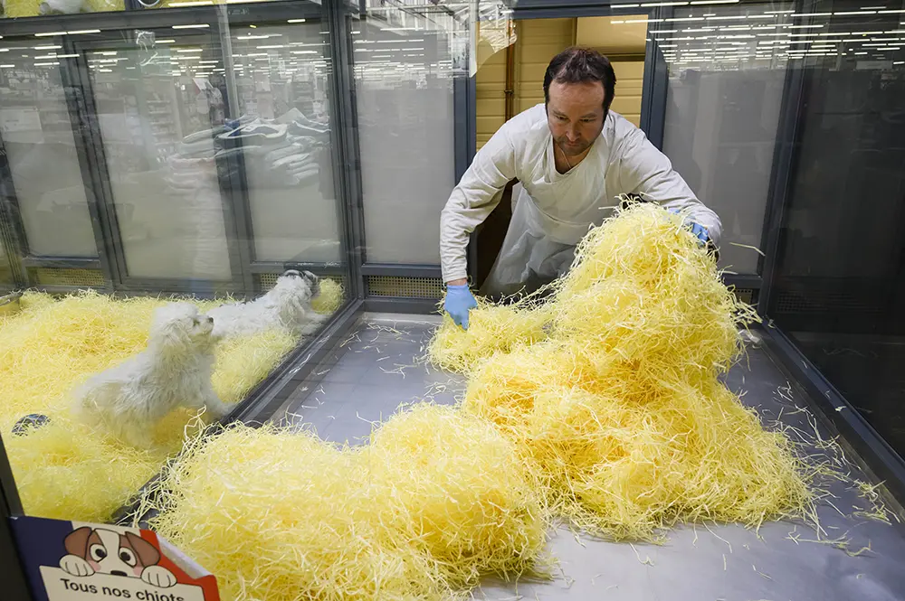 Rayon animalerie : installation d’une litière végétale en paillis de lin.