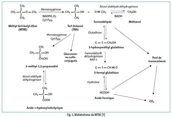 Oxyde de tert-butyle et de méthyle (MTBE) (FT 242). Pathologie ...