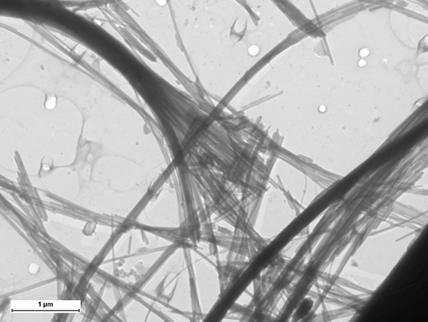Fibrilles de chrysotile grossies 50 000 fois par microscopie électronique à transmission